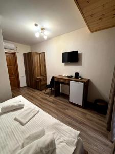 TV a/nebo společenská místnost v ubytování Lagodekhi Inn