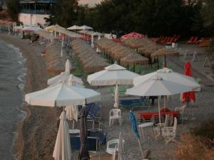 Φυσικό τοπίο κοντά σε αυτό το διαμέρισμα +10 φωτογραφίες