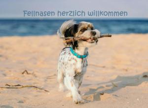 Domácí mazlíčci ubytovaní s hosty v ubytování Hafensuite iPURA VIDA! - für Leben-Genießer