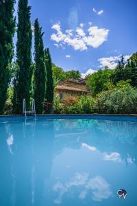 ein großer blauer Swimmingpool mit Bäumen und einem Haus in der Unterkunft Belle villa provençale - familiale - Grand terrain in Saint-Quentin-la-Poterie + 58 Fotos