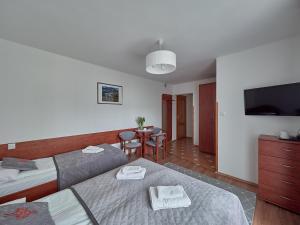 TV a/nebo společenská místnost v ubytování Willa Za Cieszynianką