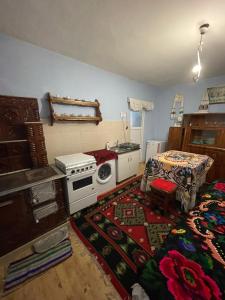 a small kitchen with a stove and a rug at Casa familiala de vacanta in Bogdan Vodă