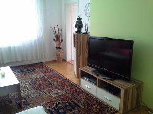 sala de estar con TV de pantalla plana en un soporte en Ferienwohnung Burgblick, en Kapfenberg