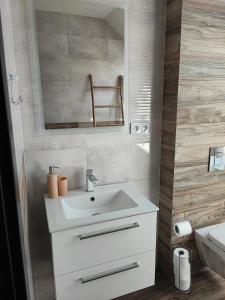 Ένα μπάνιο στο Apartamenty pod groniem +26 φωτογραφίες