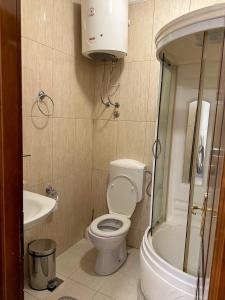 a small bathroom with a toilet and a sink at Nikić Apartments in Ulcinj