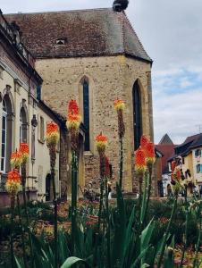 Zahrada ubytování Les gites de la poterne