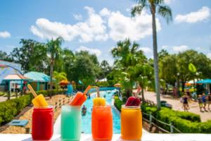 a group of colored bottles sitting on a table near a pool at 502 Little Harbor Inn in Ruskin