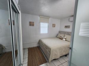 巴亚蒙Close to Airport & San Juan, The Best in Bayamón的相册照片