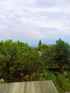 una vista desde el techo de una casa con árboles en Guest house Matsantsara, en Telavi