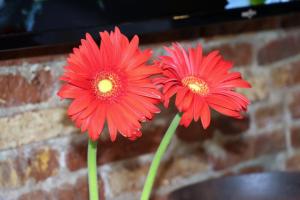 Fotografie z fotogalerie ubytování Mine v destinaci Mytiléna