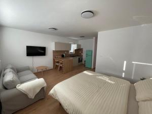 TV a/nebo společenská místnost v ubytování Apartman Hajaš