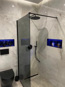 a bathroom with a glass shower with a toilet at Aura Apartment und Spa Oberhausen in Oberhausen