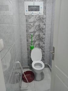 Un baño pequeño con un inodoro con una pared. en Bel Appartement meublé à Bordj El-Kiffane, en Stamboul 9 fotos más