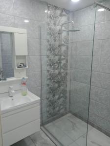 Un baño con ducha de cristal con lavabo. en Bel Appartement meublé à Bordj El-Kiffane, en Stamboul