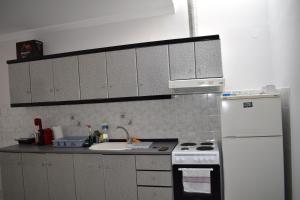 Kuchyň nebo kuchyňský kout v ubytování Sunny Beach Front Apartment