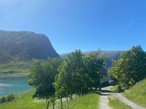 a house on the side of a hill next to a river at Honey bay cottage in Stadlandet