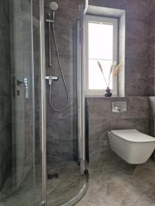 パランガにあるAmber Sea Apartment - 1のシャワー、トイレ、洗面台付きのバスルーム