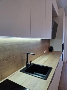 パランガにあるAmber Sea Apartment - 1のシンクと木製のカウンタートップを備えたキッチン