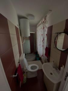 un baño con inodoro y lavabo en Casa Mimi, en Oradea 10 fotos más