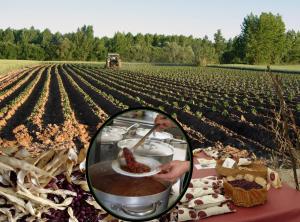 Gallery image of Bungalows Granja Escuela Arlanzón in Arlanzón +27 photos