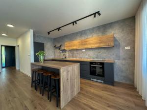Kuchyň nebo kuchyňský kout v ubytování OLIS Apartment Bojnice + 4 fotografie