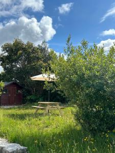 a picnic table with an umbrella in the grass at Mountain View in Dawros