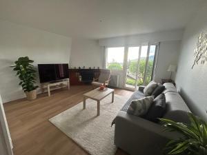TV a/nebo společenská místnost v ubytování L'Appart Riviera vue panoramique