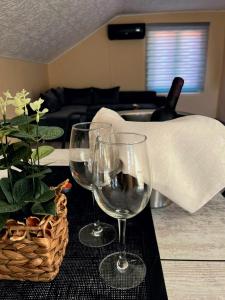 Foto de la galería de Apartman Popović en Niš