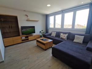 TV a/nebo společenská místnost v ubytování Penthouse apartment Josipovic