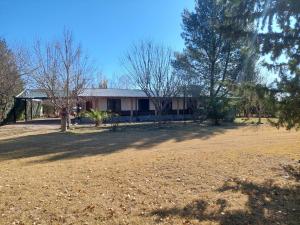 a house with trees in front of a yard at Cabañas Aldo in San Rafael