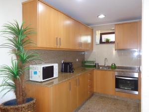 a kitchen with wooden cabinets and a plant in a pot at Bernardes House in Castelo de Paiva