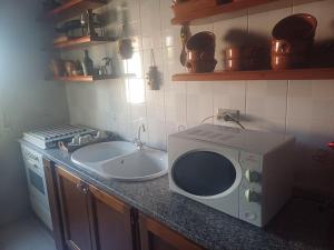 Una encimera de cocina con un microondas y un fregadero. en Vista mare a Trabia Serra Scirocco, en Mandra Capreria