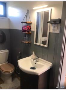 a bathroom with a sink and a toilet and a mirror at Casa da Aldeia in Figueiró dos Vinhos
