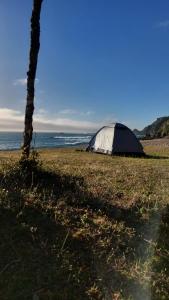 Příroda nedaleko luxury tent