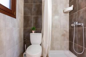 a bathroom with a toilet and a shower with a plant on it at Color Villa - South Paradise 7 in Himare