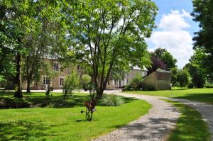 En trädgård utanför La Villanderie