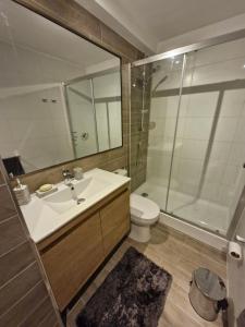 a bathroom with a sink and a toilet and a shower at Departamento edificio rotterdam amoblado in Iquique +5 photos