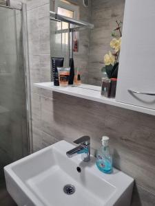 a bathroom sink with a bottle of soap on it at Familyway Croatia in Bukovlje