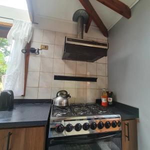 Casa spa parcela con acceso directo a río Temuco Padre las casas的厨房或小厨房