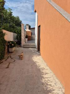 Fotografie z fotogalerie ubytování Dorothy Apartment v destinaci Pula