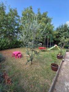 Fotografie z fotogalerie ubytování Dorothy Apartment v destinaci Pula