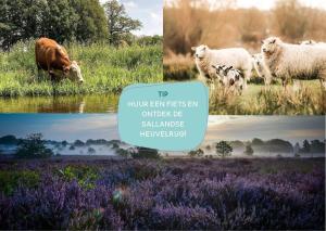 Gallery image of Happy Oak lodge Two ensuite bathrooms 4 personen in Zuna +21 photos