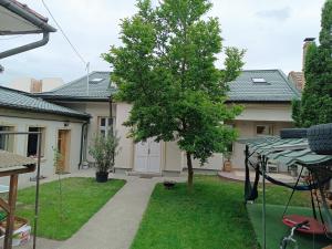 a yard with a tree and a house at Urban Oasis in Târgu-Mureş
