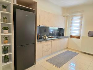Kuchyň nebo kuchyňský kout v ubytování Master Residence Lavrion + 4 fotografie