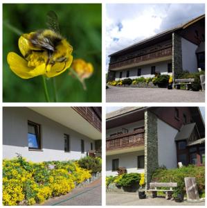 Zahrada ubytování Draxlerhaus