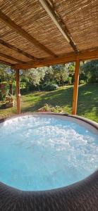 a large pool of water under a wooden roof at Casina Margherita in Siena