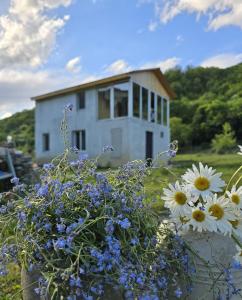 Zahrada ubytování Dariani Cottage