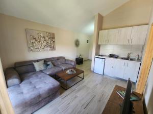 a living room with a couch and a table and a kitchen at Sunrise house apartments in Ulcinj