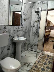 a bathroom with a toilet and a sink and a shower at Casa Eliza in Ocna Şugatag +40 photos