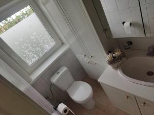 a bathroom with a toilet and a sink and a window at Enjoy in Wenduine